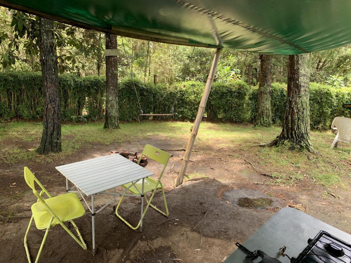 Al Bosque Hostel & Glamping サンタ・エレナ エクステリア 写真
