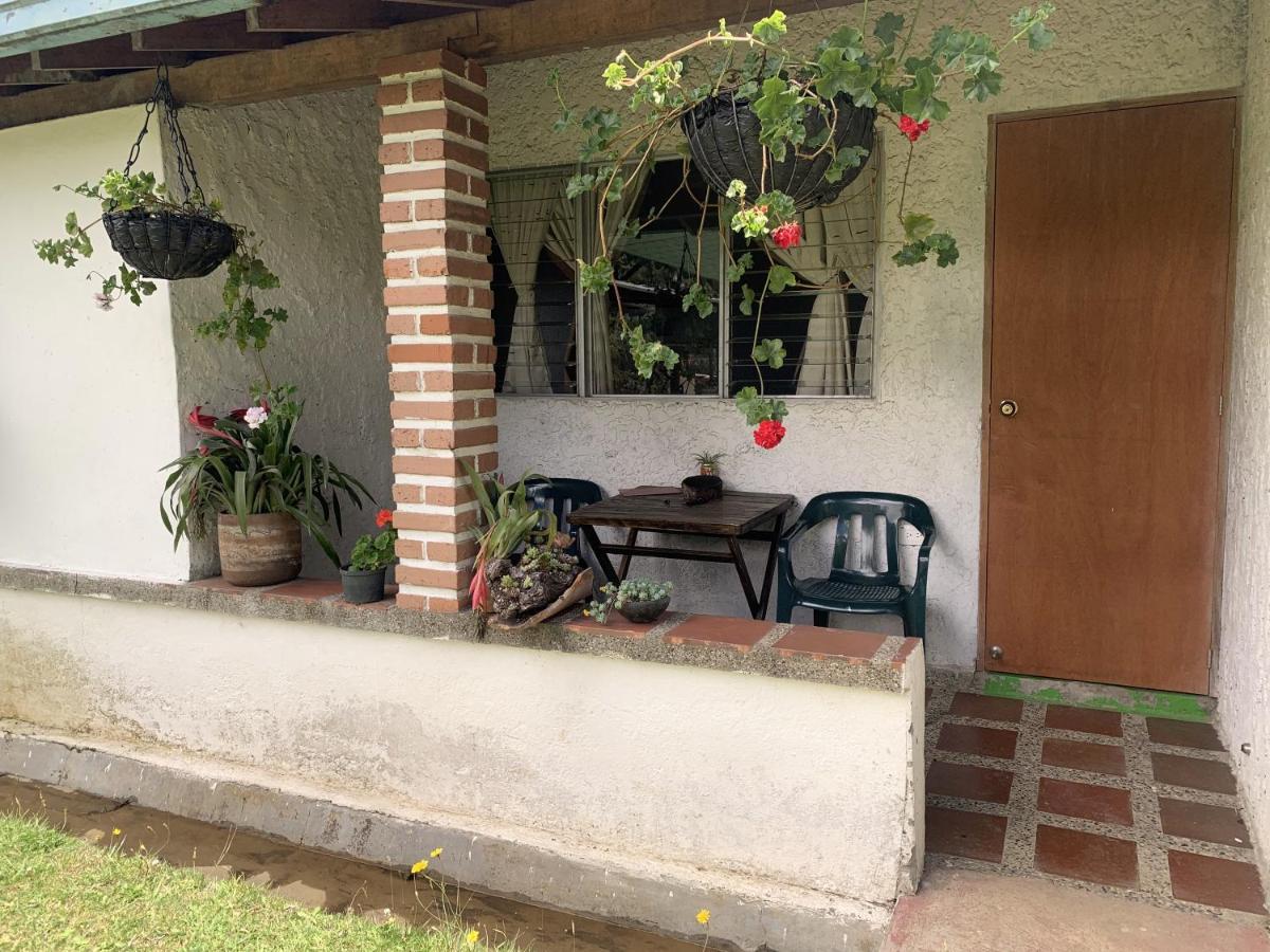 Al Bosque Hostel & Glamping サンタ・エレナ エクステリア 写真