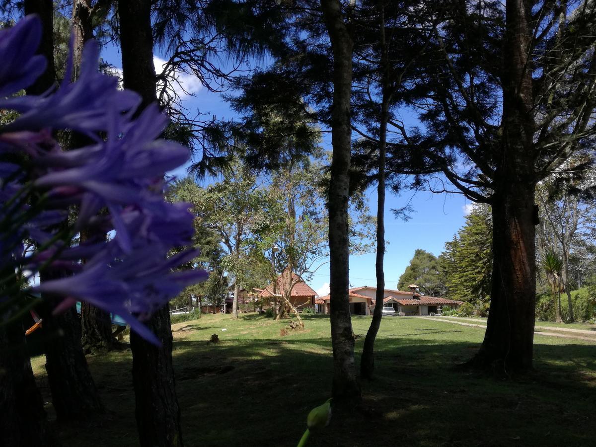Al Bosque Hostel & Glamping サンタ・エレナ エクステリア 写真