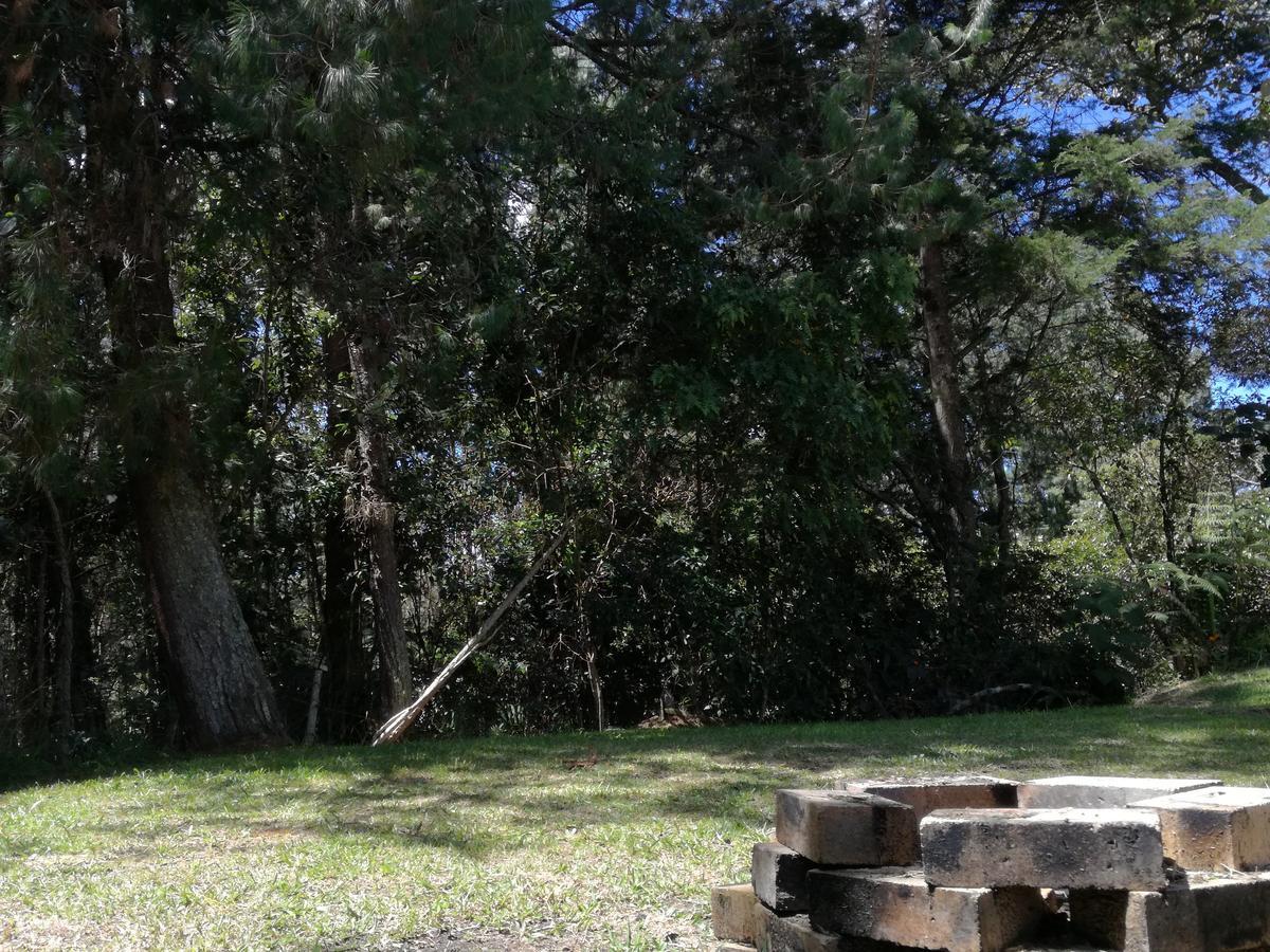 Al Bosque Hostel & Glamping サンタ・エレナ エクステリア 写真