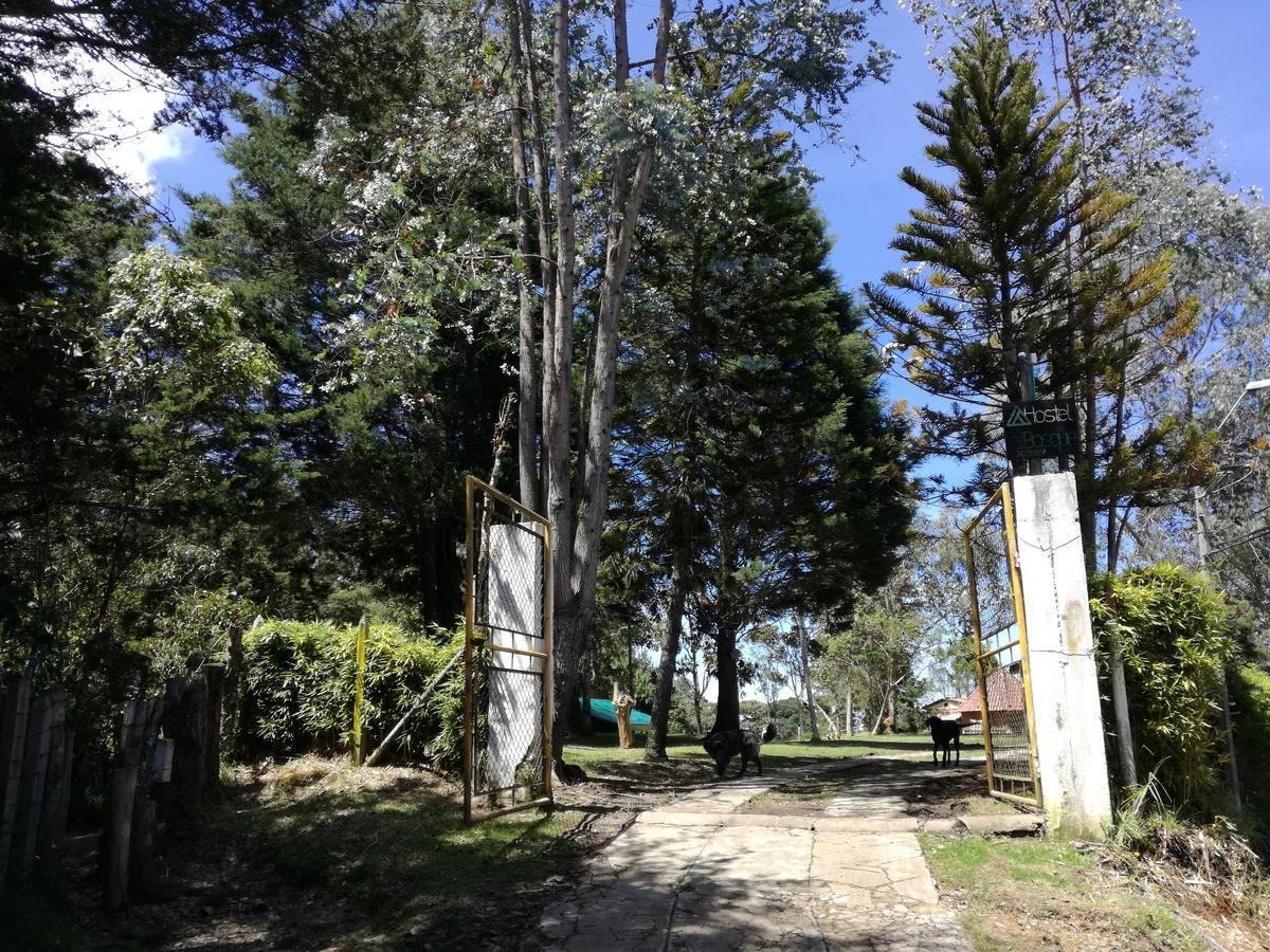 Al Bosque Hostel & Glamping サンタ・エレナ エクステリア 写真