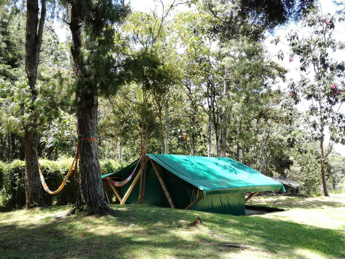 Al Bosque Hostel & Glamping サンタ・エレナ エクステリア 写真