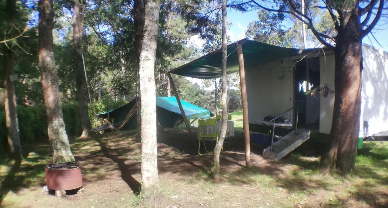 Al Bosque Hostel & Glamping サンタ・エレナ エクステリア 写真