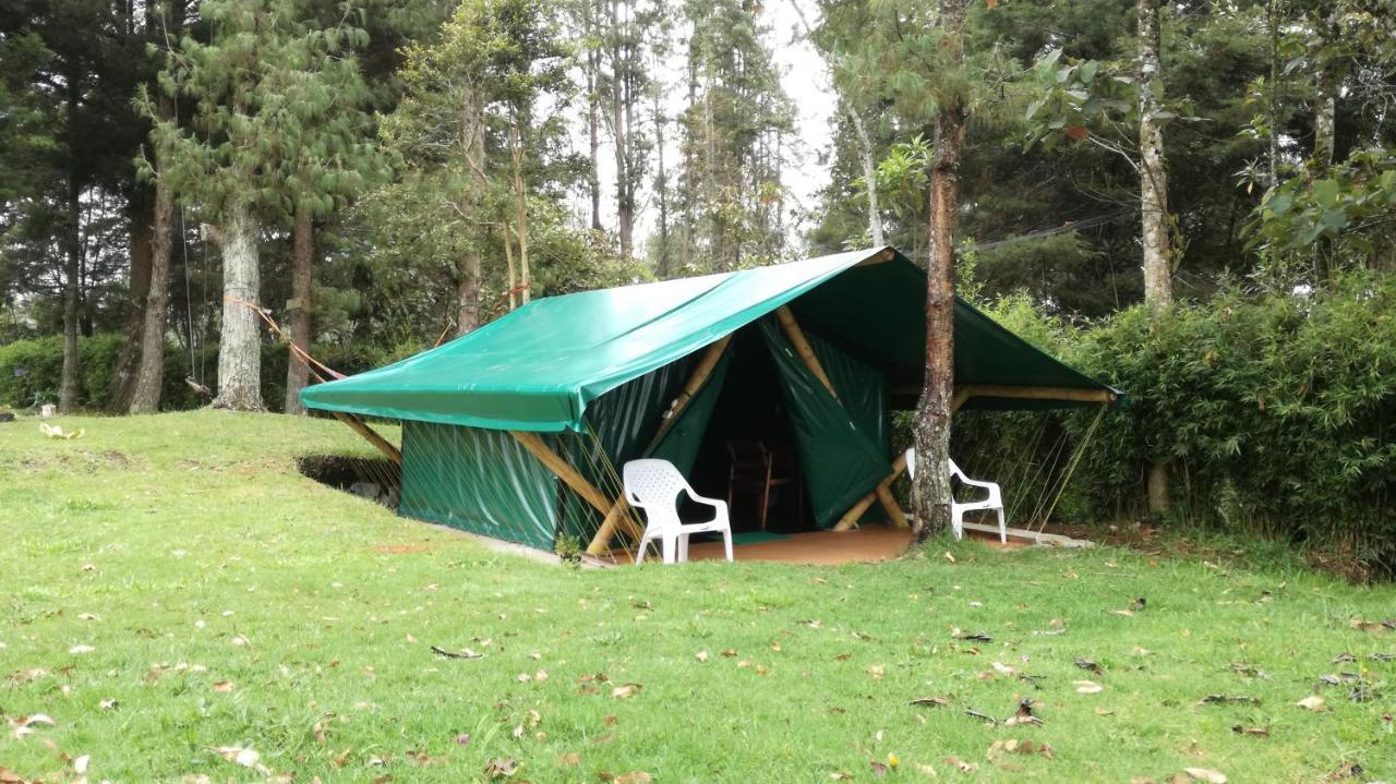Al Bosque Hostel & Glamping サンタ・エレナ エクステリア 写真